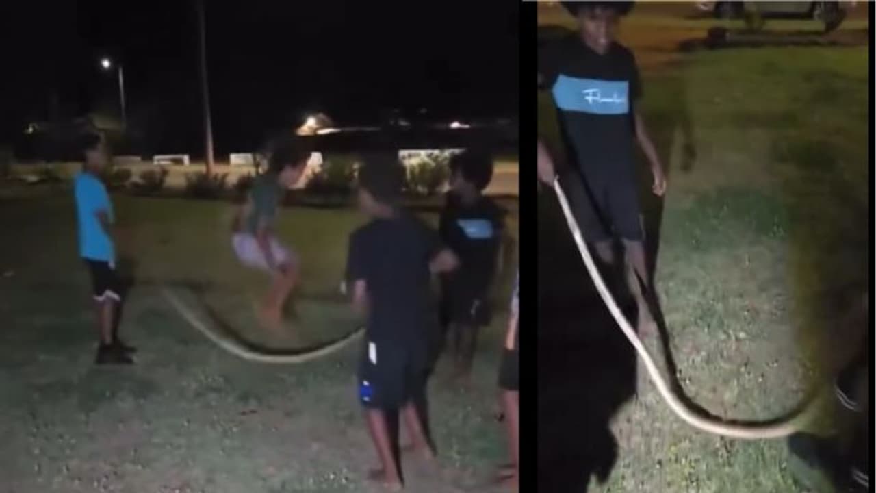 Jump Rope Snake Children use Snake for Skipping Game: ಹೆಬ್ಬಾವು ಹಿಡಿದು ಸ್ಕಿಪ್ಪಿಂಗ್ ...