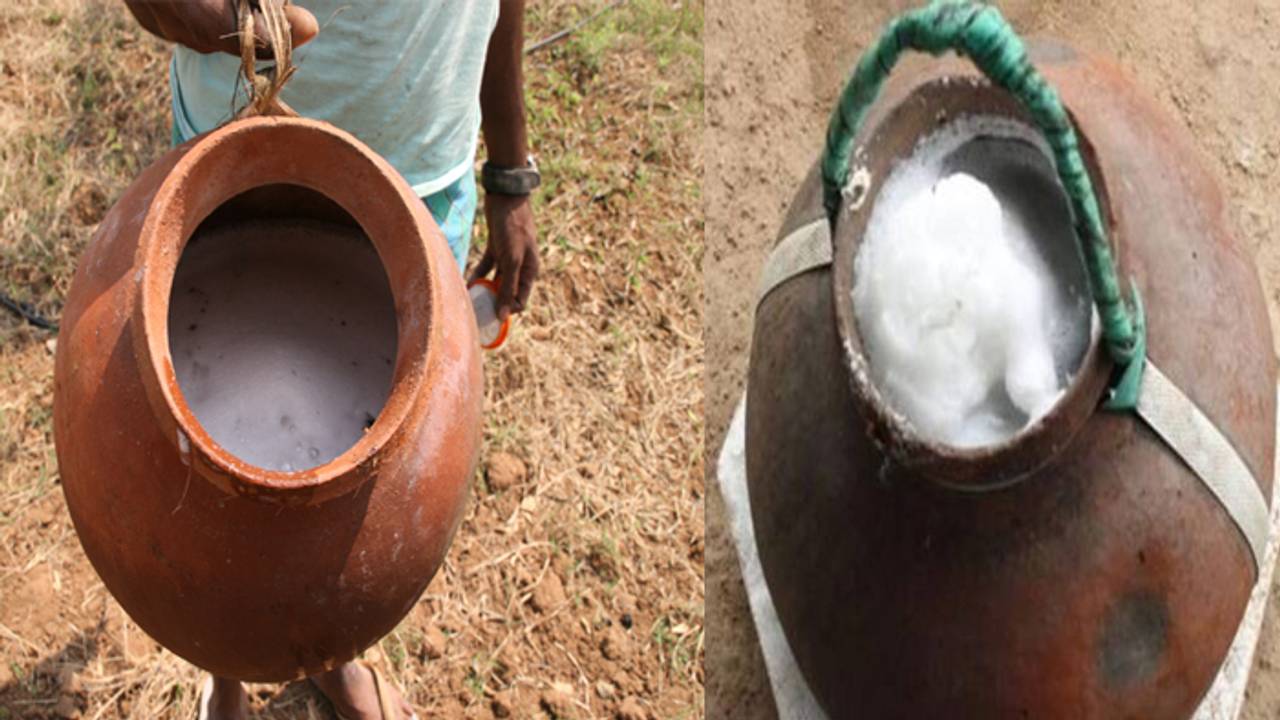 Thati kallu: తాటి కల్లు మంచిదా, ఈత కల్లు మంచిదా.? ఇంతకీ రెండింటి మధ్య తేడా ఏంటి.? 