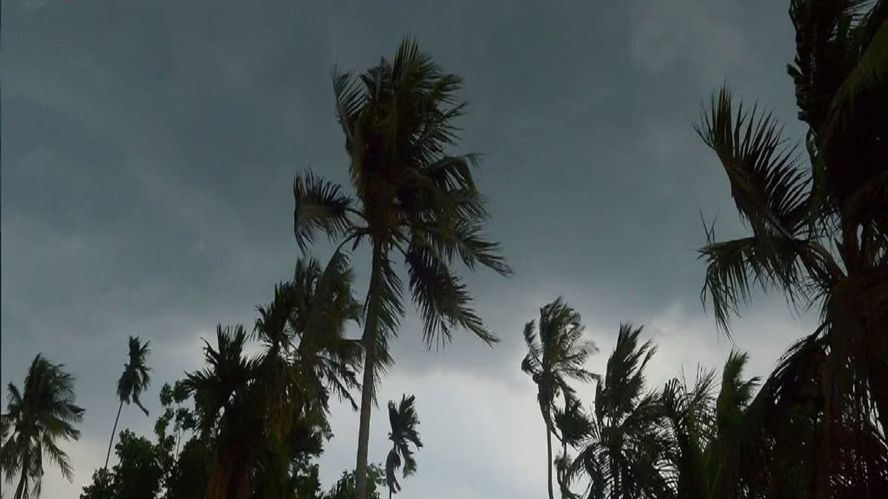 Karnataka weather update: ಮುಂದಿನ 4 ದಿನ ಕರಾವಳಿ, ದಕ್ಷಿಣ ಒಳನಾಡಿನಲ್ಲಿ ಮಳೆ ...