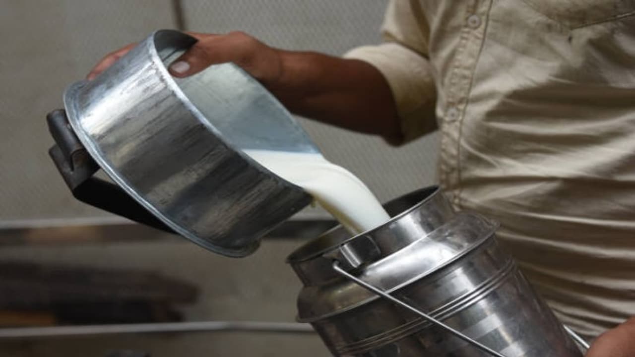 মহারাষ্ট্রে দুধের দাম বাড়ল, উৎসবের আগে চাপে মধ্যবিত্ত