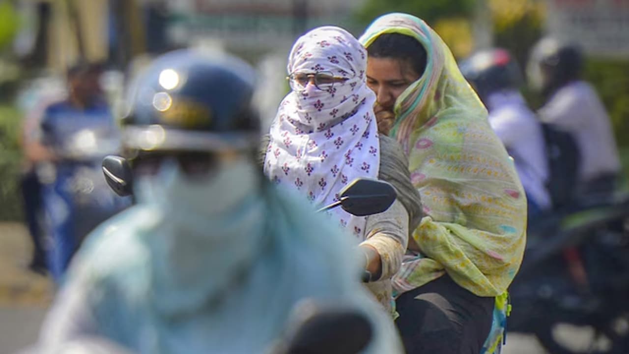 Chennai Weather Update: Weather Department Issues Severe Heatwave Alert; Check Forecast