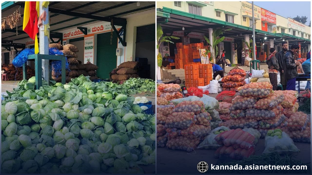 25 ವರ್ಷದ ಭೂಸ್ವಾಧೀನ ಕಾನೂನು ಸಮರದಲ್ಲಿ ಎಪಿಎಂಸಿಗೆ ಕಡೆಗೂ ಲಭಿಸಿದ ಜಯ- ಇದ್ದ ಅಡ್ಡಿ ಕೋರ್ಟ್ ತೀರ್ಪಿನಿಂದ ನಿವಾರಣೆ | Apmc Wins 25 Year Old Land Acquisition Legal Battle 25 ವರ್ಷದ ಭೂಸ್ವಾಧೀನ ಕಾನೂನು ಸಮರದಲ್ಲಿ ಎಪಿಎಂಸಿಗೆ ಕಡೆಗೂ ಲಭಿಸಿದ ಜಯ- ಇದ್ದ ಅಡ್ಡಿ ಕೋರ್ಟ್ ತೀರ್ಪಿನಿಂದ ನಿವಾರಣೆ | Apmc Wins 25 Year Old Land Acquisition Legal Battle