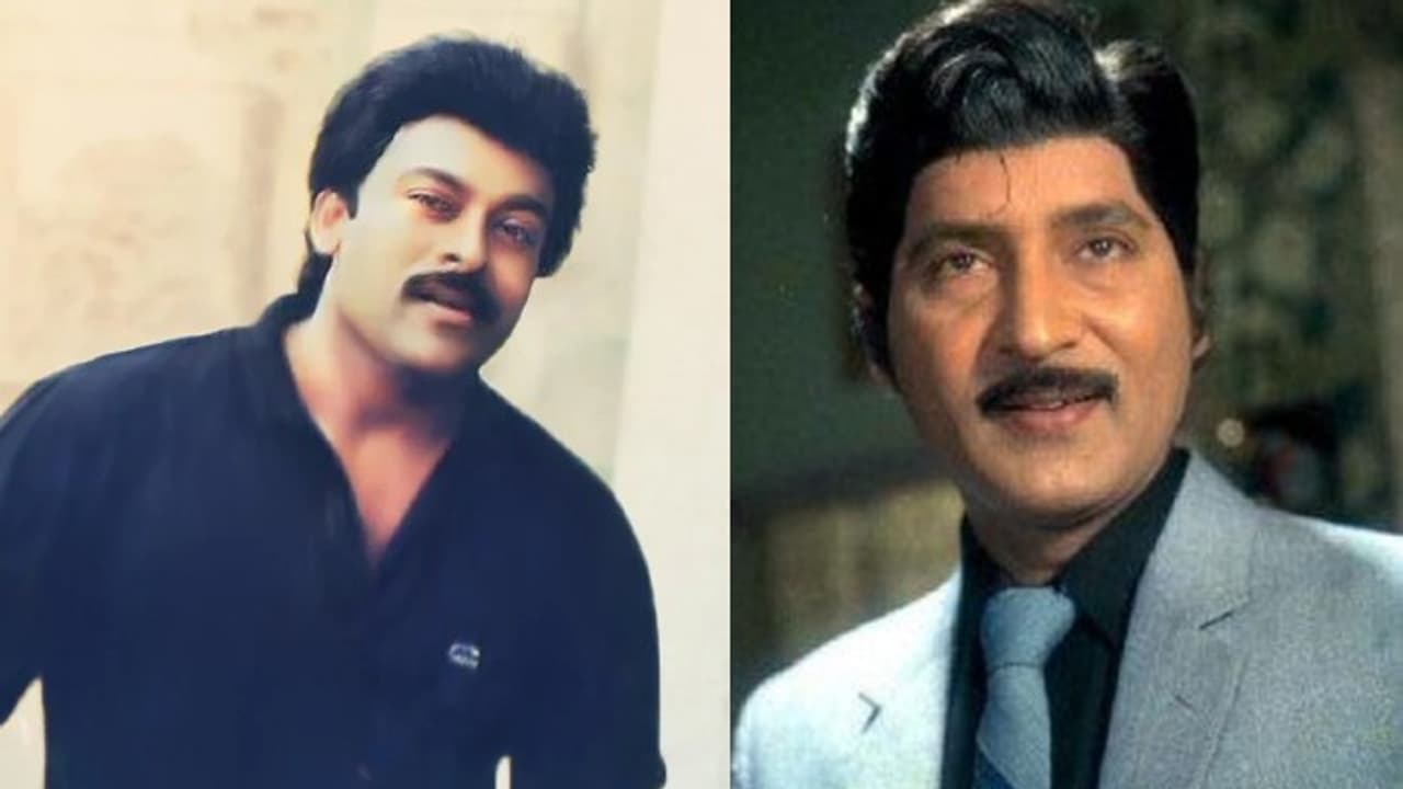 చిరంజీవి చేతిలో చావు దెబ్బ తిన్న శోభన్ బాబు సినిమా, మెగాస్టార్ పై సోగ్గాడి ప్లాన్ ఏమయ్యిందంటే