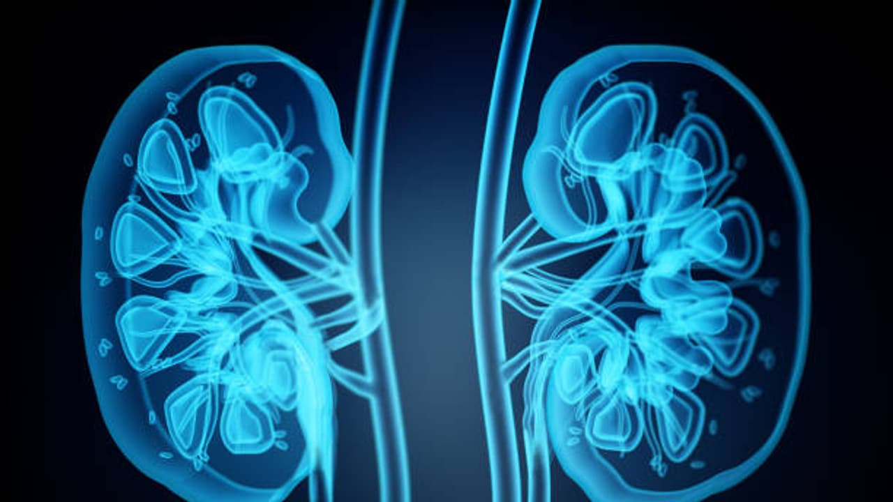 ನೀರಿನ ಹೊರತಾಗಿ ಕಿಡ್ನಿಯ ಆರೋಗ್ಯಕ್ಕೆ ಇರುವ ಉತ್ತಮ ಪಾನೀಯಗಳು! ನೀರಿನ ಹೊರತಾಗಿ ಕಿಡ್ನಿಯ ಆರೋಗ್ಯಕ್ಕೆ ಇರುವ ಉತ್ತಮ ಪಾನೀಯಗಳು!