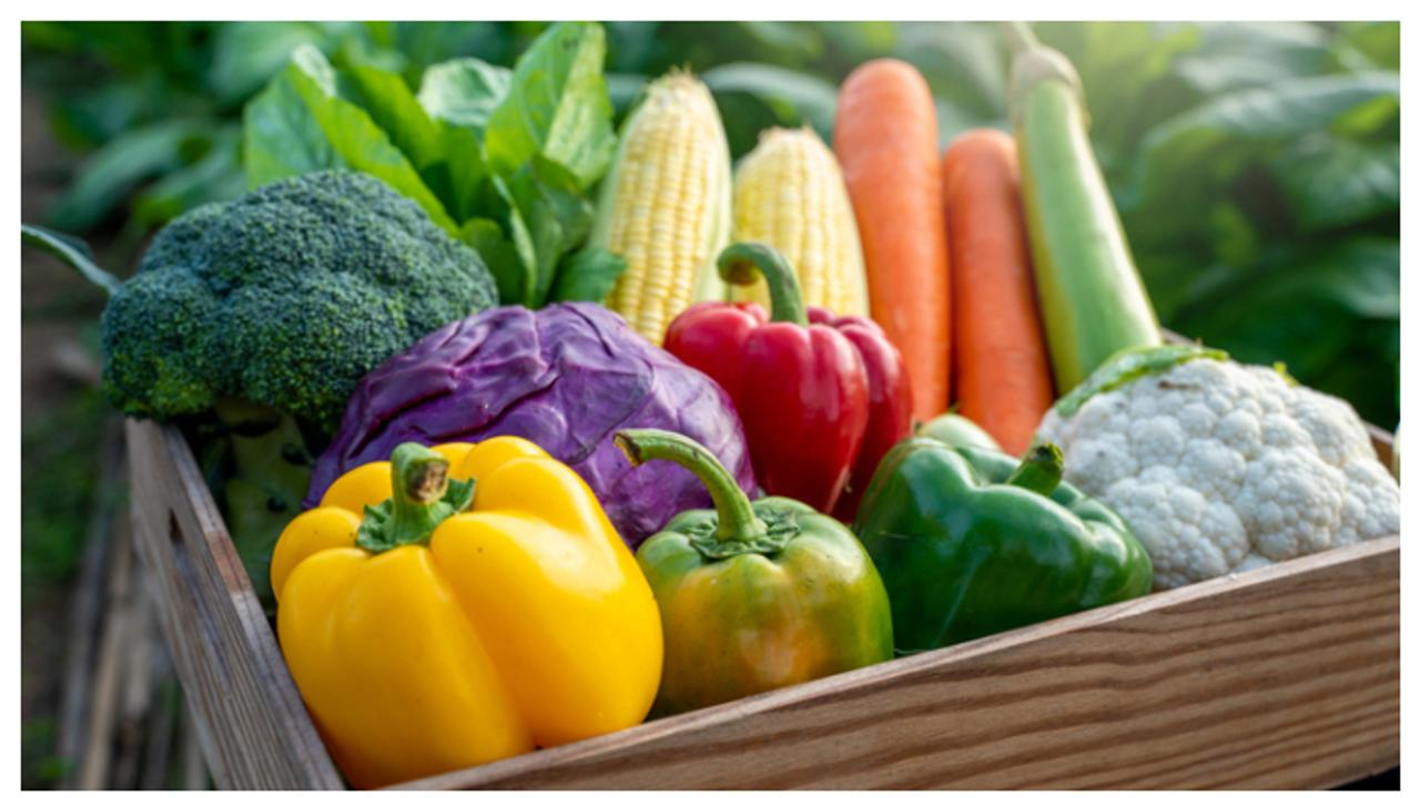 ಮೊಳಕೆಯೊಡೆದ ಈ 3 ತರಕಾರಿ ಮುಟ್ಟಲೇಬೇಡಿ..ಕಾಡಲಿದೆ ವಾಂತಿ, ಅತಿಸಾರ, ರಕ್ತಹೀನತೆ! ಮೊಳಕೆಯೊಡೆದ ಈ 3 ತರಕಾರಿ ಮುಟ್ಟಲೇಬೇಡಿ..ಕಾಡಲಿದೆ ವಾಂತಿ, ಅತಿಸಾರ, ರಕ್ತಹೀನತೆ!