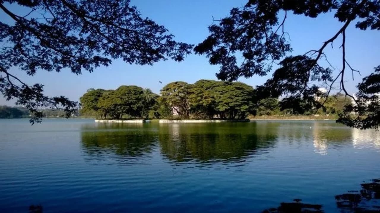 Government Institutions Encroached on 39 Lakes in Bengaluru; Govt Itself is Dangerous to Bengaluru Lakes