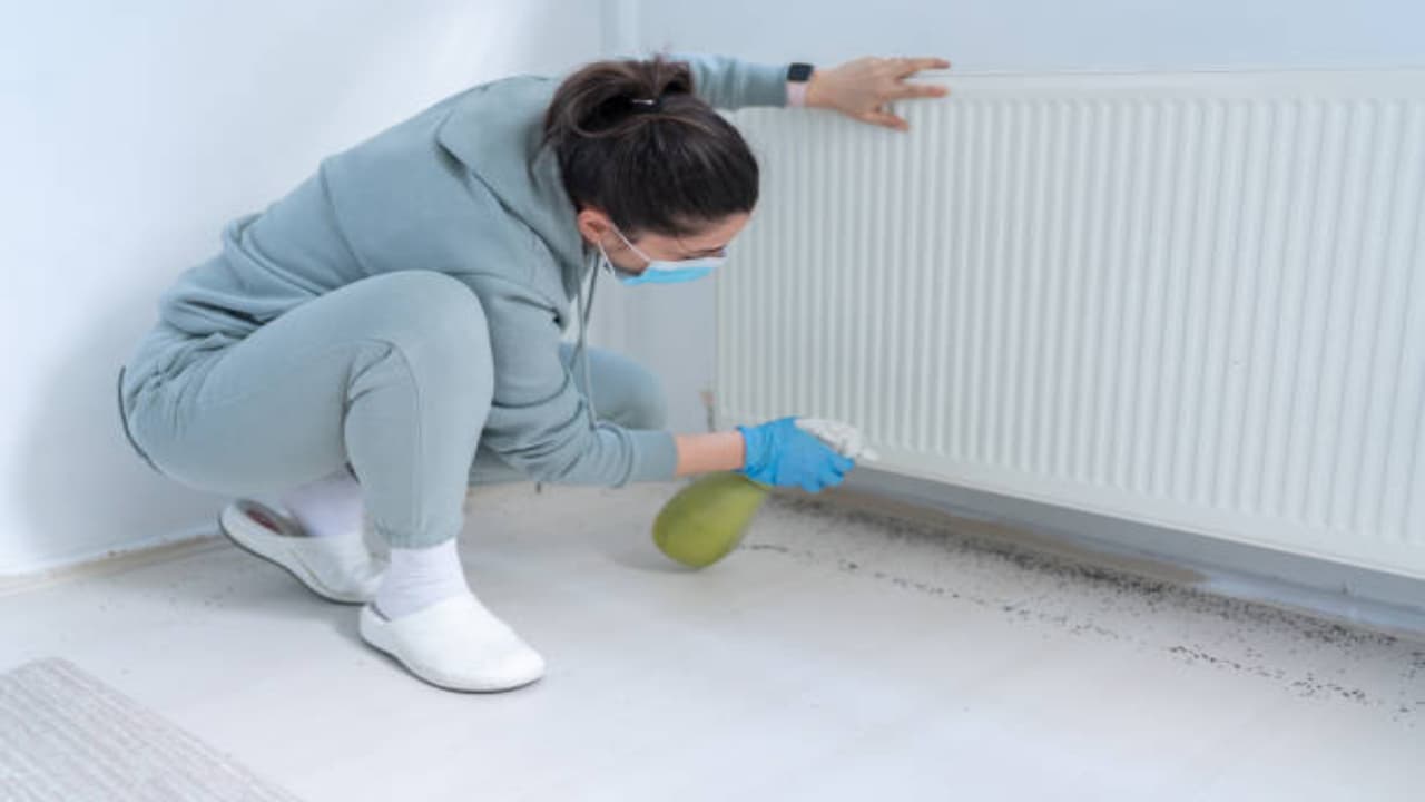 ಈ ಸಿಂಪಲ್ ರೆಮಿಡಿ ಟ್ರೈ ಮಾಡಿ…ರಾತ್ರೋರಾತ್ರಿ ಜಿರಲೆ ಓಡಿಹೋಗ್ತವೆ ಈ ಸಿಂಪಲ್ ರೆಮಿಡಿ ಟ್ರೈ ಮಾಡಿ…ರಾತ್ರೋರಾತ್ರಿ ಜಿರಲೆ ಓಡಿಹೋಗ್ತವೆ