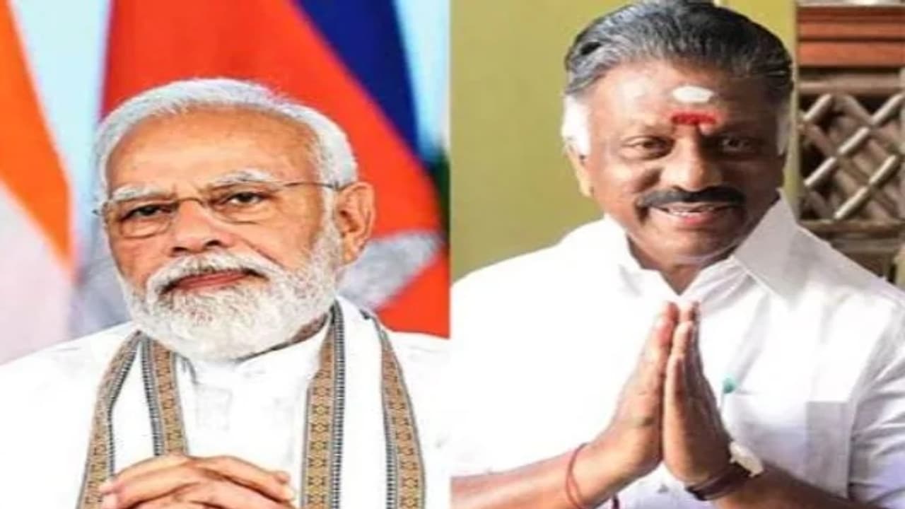 OPS vs PM Modi: இபிஎஸ் வைத்த ஆப்பு! கண்டுகொள்ளாத பிரதமர் மோடி! ஓபிஎஸ் ...