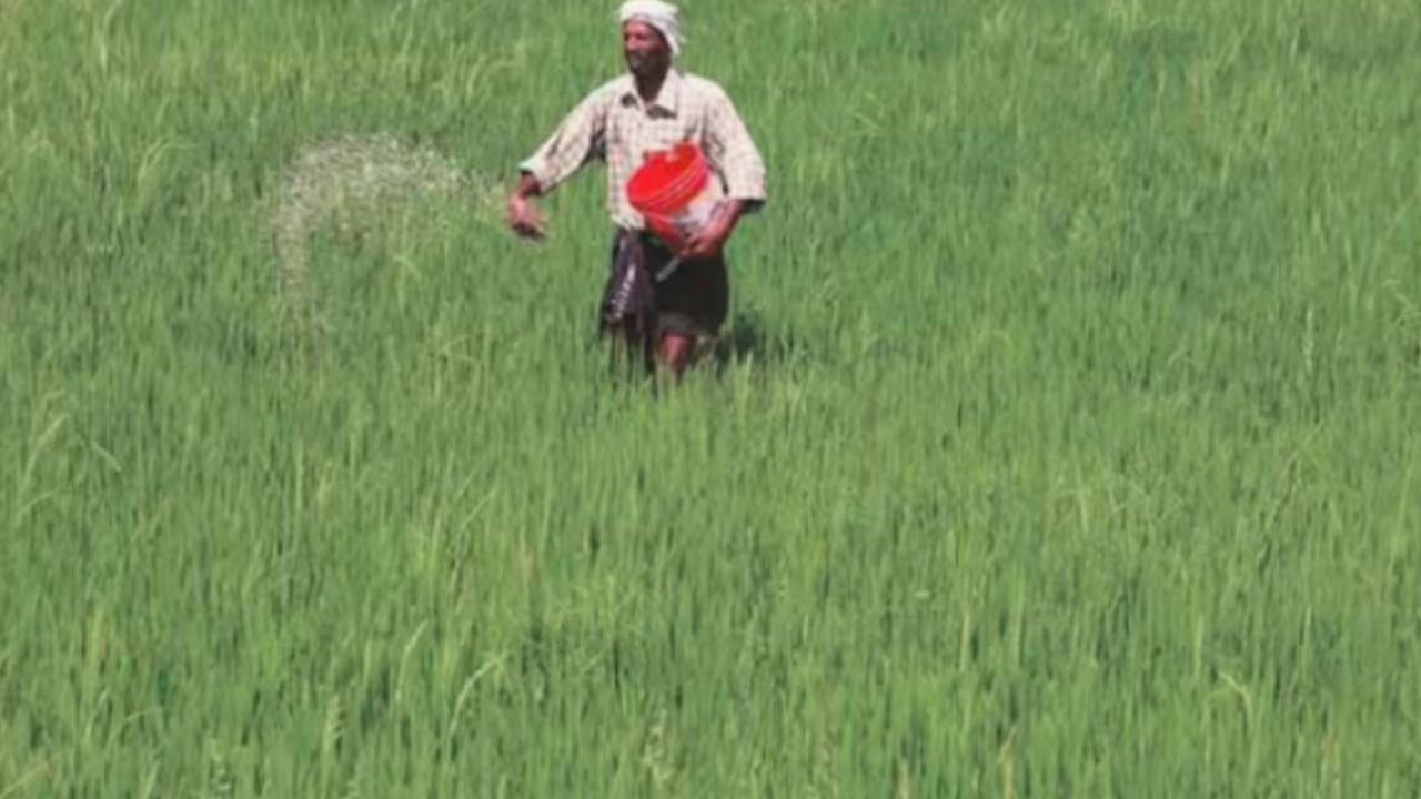 ಯೂರಿಯಾ ಕಾಳಸಂತೆಯಲ್ಲಿ ಮಾರಾಟ, ಸಕಾಲಕ್ಕೆ ಗೊಬ್ಬರ ಸಿಗದೇ ರೈತರು ಪರದಾಟ | Urea Sold In Black Market In Karnataka Farmers Struggle Due To Lack Fertilizer ಯೂರಿಯಾ ಕಾಳಸಂತೆಯಲ್ಲಿ ಮಾರಾಟ, ಸಕಾಲಕ್ಕೆ ಗೊಬ್ಬರ ಸಿಗದೇ ರೈತರು ಪರದಾಟ | Urea Sold In Black Market In Karnataka Farmers Struggle Due To Lack Fertilizer