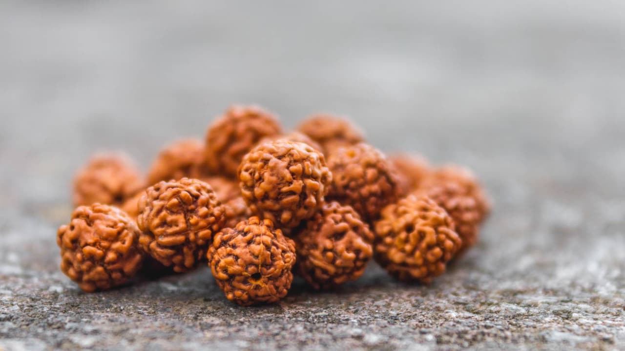 ಪಂಚಮುಖಿ ರುದ್ರಾಕ್ಷಿ ಈ 2 ರಾಶಿಗೆ ಅದೃಷ್ಟ, ಧರಿಸಿದ ತಕ್ಷಣ ಆರ್ಥಿಕ ಲಾಭ, ಸಂತೋಷ ಪಂಚಮುಖಿ ರುದ್ರಾಕ್ಷಿ ಈ 2 ರಾಶಿಗೆ ಅದೃಷ್ಟ, ಧರಿಸಿದ ತಕ್ಷಣ ಆರ್ಥಿಕ ಲಾಭ, ಸಂತೋಷ