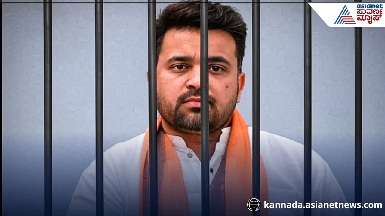 ಪ್ರಜ್ವಲ್ ರೇವಣ್ಣ ಅತ್ಯಾ*ಚಾರ ಕೇಸಿಗೆ ರಾಜಕೀಯ ತಿರುವು ಕೊಟ್ಟ ವಕೀಲರು; ಜಾಮೀನು ನೀಡುವಂತೆ ಮನವಿ! | Prajwal Revanna Life Sentence Appeal Hearing Bail Argument Political Angle Sat ಪ್ರಜ್ವಲ್ ರೇವಣ್ಣ ಅತ್ಯಾ*ಚಾರ ಕೇಸಿಗೆ ರಾಜಕೀಯ ತಿರುವು ಕೊಟ್ಟ ವಕೀಲರು; ಜಾಮೀನು ನೀಡುವಂತೆ ಮನವಿ! | Prajwal Revanna Life Sentence Appeal Hearing Bail Argument Political Angle Sat