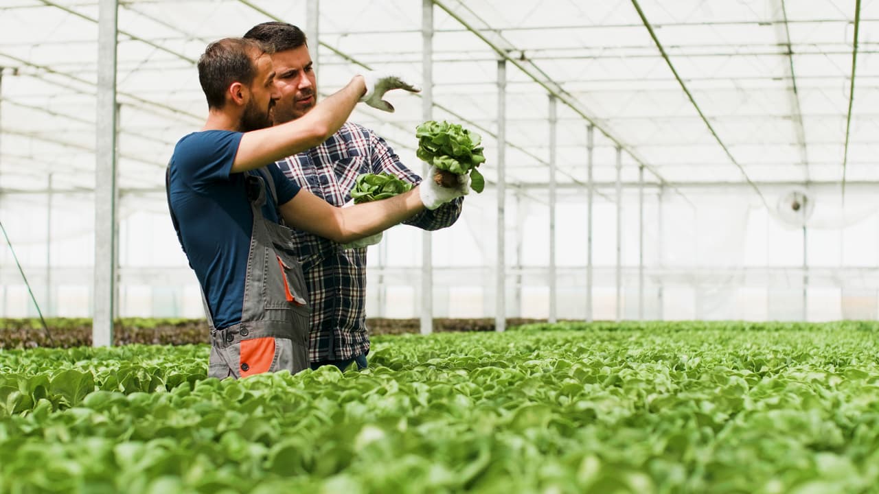 Climate Change Is Making Our Food Less Nutritious; Here’s What Scientists Found