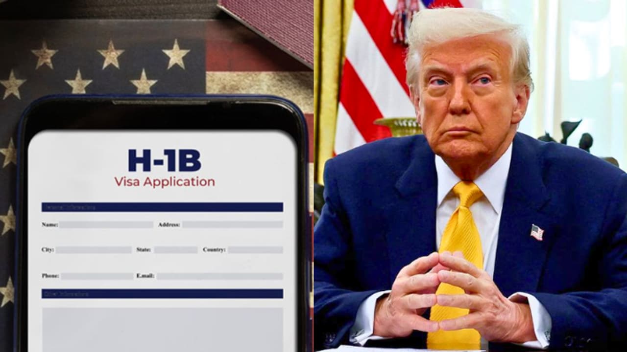 Trump's $100,000 H-1B Visa Fee: Why TCS, Infosys and Cognizant Face a Major Hit