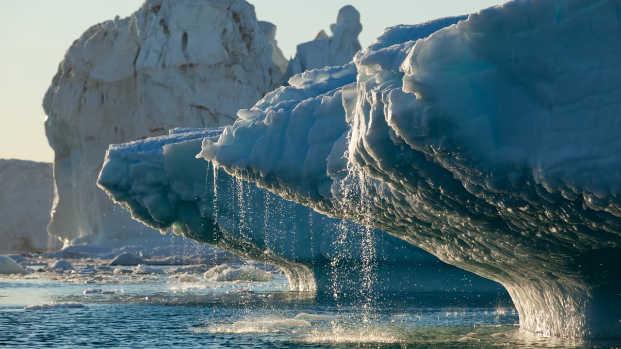 Greenland’s Melting Ice Is Boosting Ocean Life in a Way Scientists Didn’t Expect