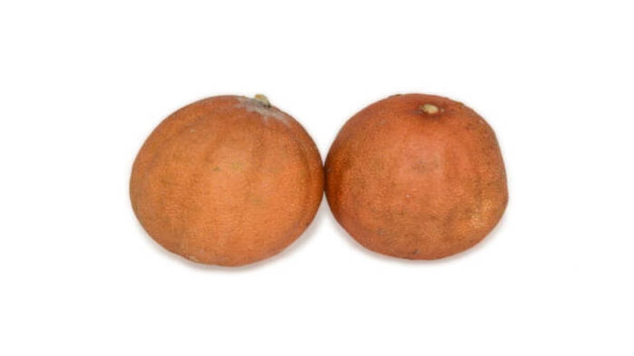 Dry Lemons Uses: ನಿಂಬೆಹಣ್ಣು ಒಣಗಿ ಹೋಗಿದೆಯೇ?, ಚಿಂತಿಸಬೇಡಿ.. ಹೀಗೆ ಬಳಸಿ, ದುಡ್ಡು ಉಳಿಸಿ Dry Lemons Uses: ನಿಂಬೆಹಣ್ಣು ಒಣಗಿ ಹೋಗಿದೆಯೇ?, ಚಿಂತಿಸಬೇಡಿ.. ಹೀಗೆ ಬಳಸಿ, ದುಡ್ಡು ಉಳಿಸಿ