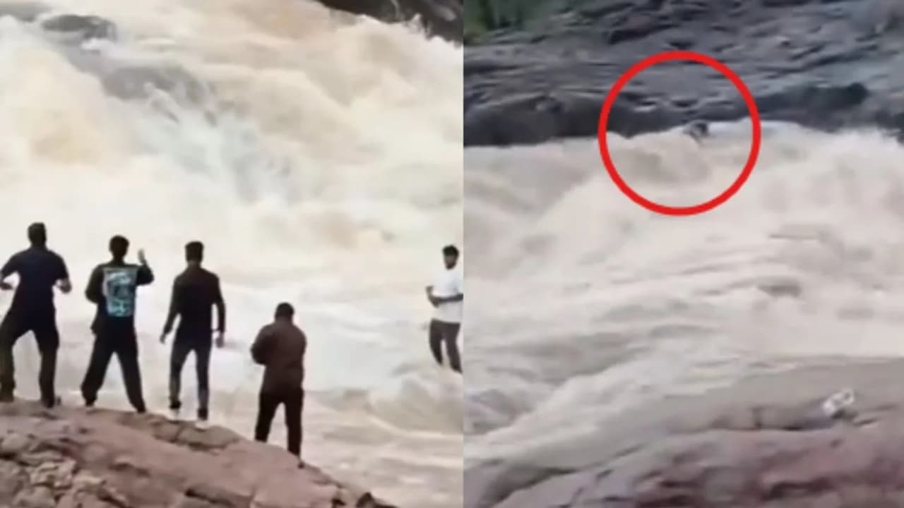 Reels ಮಾಡಲು ಹೋಗಿ ರಕ್ಷಣೆಗೂ ಮೊದಲೇ ಕೊಚ್ಚಿದ ಯೂಟ್ಯೂಬರ್, ಬಯಾನಕ ವಿಡಿಯೋ | Youtuber Swept Away While Reels Shoot Before Rescue At Waterfall Odisha Reels ಮಾಡಲು ಹೋಗಿ ರಕ್ಷಣೆಗೂ ಮೊದಲೇ ಕೊಚ್ಚಿದ ಯೂಟ್ಯೂಬರ್, ಬಯಾನಕ ವಿಡಿಯೋ | Youtuber Swept Away While Reels Shoot Before Rescue At Waterfall Odisha