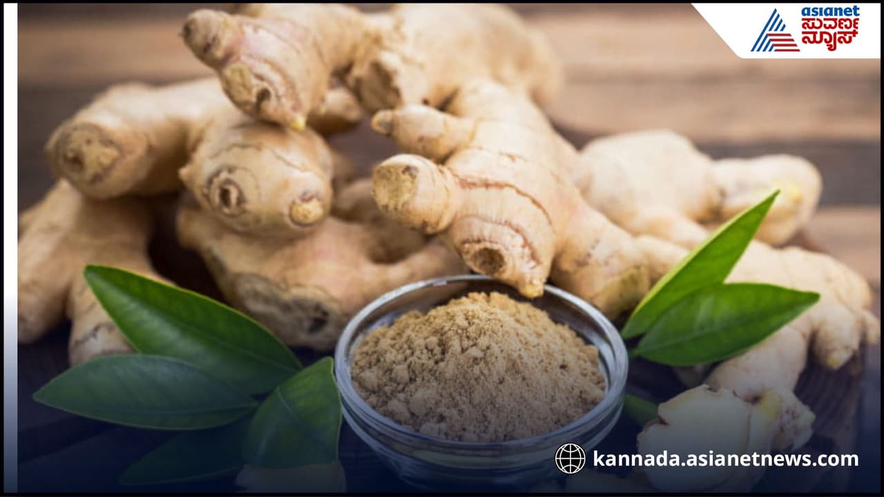 ಶುಂಠಿ ತಿನ್ನುವುದು ಆರೋಗ್ಯಕರ ಮಾತ್ರವಲ್ಲ, ಹಾನಿಯೂ ಆಗುತ್ತೆ! ಯಾವಾಗ? ತಿನ್ನುವ ವಿಧಾನ ಹೇಗಿರಬೇಕು? ತಿಳಿಯಿರಿ | Benefits And Risks Of Eating Ginger What You Need To Know ಶುಂಠಿ ತಿನ್ನುವುದು ಆರೋಗ್ಯಕರ ಮಾತ್ರವಲ್ಲ, ಹಾನಿಯೂ ಆಗುತ್ತೆ! ಯಾವಾಗ? ತಿನ್ನುವ ವಿಧಾನ ಹೇಗಿರಬೇಕು? ತಿಳಿಯಿರಿ | Benefits And Risks Of Eating Ginger What You Need To Know