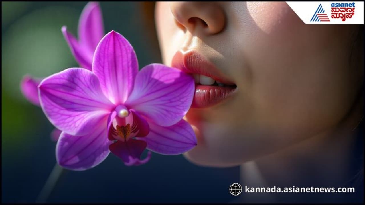 Deep Kiss : ಮಿತಿ ಮೀರಿದ ಮುತ್ತಿನಿಂದ ತುಟಿ ಹಾಳು, ಇಂಟರ್ನೆಟ್ ಮೊರೆ ಹೋದ ಹೆಂಗಳೆಯರು | Kissing For A Long Time Can Be Very Harmful For Your Lips Roo Deep Kiss : ಮಿತಿ ಮೀರಿದ ಮುತ್ತಿನಿಂದ ತುಟಿ ಹಾಳು, ಇಂಟರ್ನೆಟ್ ಮೊರೆ ಹೋದ ಹೆಂಗಳೆಯರು | Kissing For A Long Time Can Be Very Harmful For Your Lips Roo