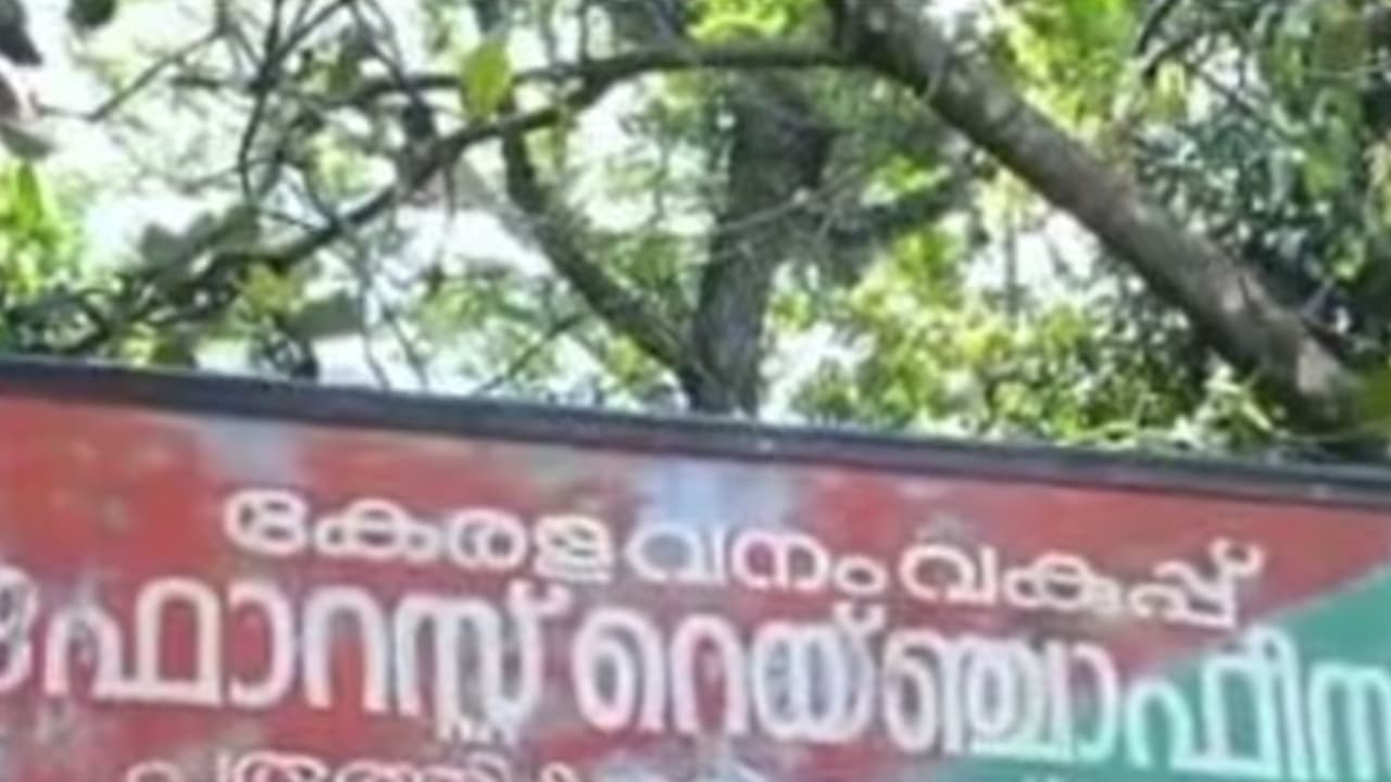 w-1280,h-720,format-jpg,imgid-01k58rrge7v9jdgyq1m03gvg9n,imgname-forest-department-1758009770439.jpg