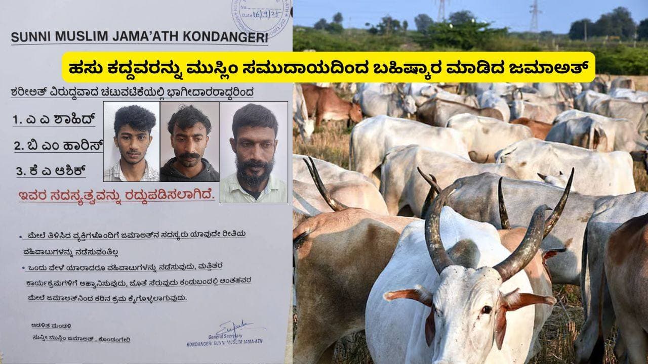 Kodagu Cow theft Ban: ಹಸು ಕದ್ದು, ಅಕ್ರಮವಾಗಿ ಸಾಗಿಸಿದವರನ್ನು ‘ಬಹಿಷ್ಕಾರ’ ಮಾಡಿದ ಸುನ್ನೀ ಮುಸ್ಲಿಂ ಜಮಾಅತ್! | Kodagu Jamaat Boycotts Cow Theft 3 Men Accused Strict Community Action Taken Sat Kodagu Cow theft Ban: ಹಸು ಕದ್ದು, ಅಕ್ರಮವಾಗಿ ಸಾಗಿಸಿದವರನ್ನು ‘ಬಹಿಷ್ಕಾರ’ ಮಾಡಿದ ಸುನ್ನೀ ಮುಸ್ಲಿಂ ಜಮಾಅತ್! | Kodagu Jamaat Boycotts Cow Theft 3 Men Accused Strict Community Action Taken Sat