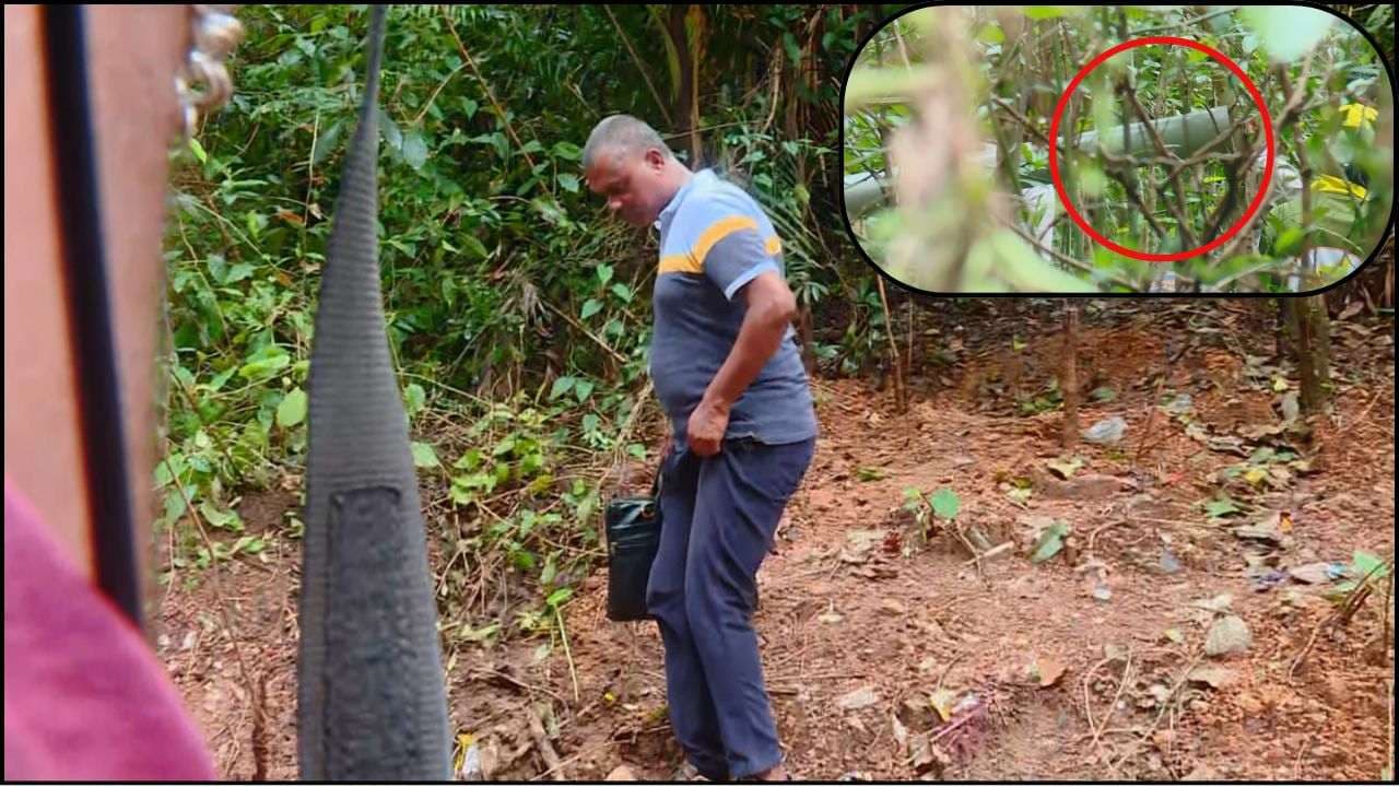 Dharmasthala Case Update: ಬಂಗ್ಲೆಗುಡ್ಡೆ ಕಾಡಿನಲ್ಲಿ ಮೂಳೆ ತುಂಡುಗಳು ಪತ್ತೆ, ಲ್ಯಾಬ್ಗೆ ಕಳಿಸಿದ ಎಸ್ಐಟಿ! | Dharmasthala Bone Remains Found By Sit Search In Banglegudde Forest Sat Dharmasthala Case Update: ಬಂಗ್ಲೆಗುಡ್ಡೆ ಕಾಡಿನಲ್ಲಿ ಮೂಳೆ ತುಂಡುಗಳು ಪತ್ತೆ, ಲ್ಯಾಬ್ಗೆ ಕಳಿಸಿದ ಎಸ್ಐಟಿ! | Dharmasthala Bone Remains Found By Sit Search In Banglegudde Forest Sat