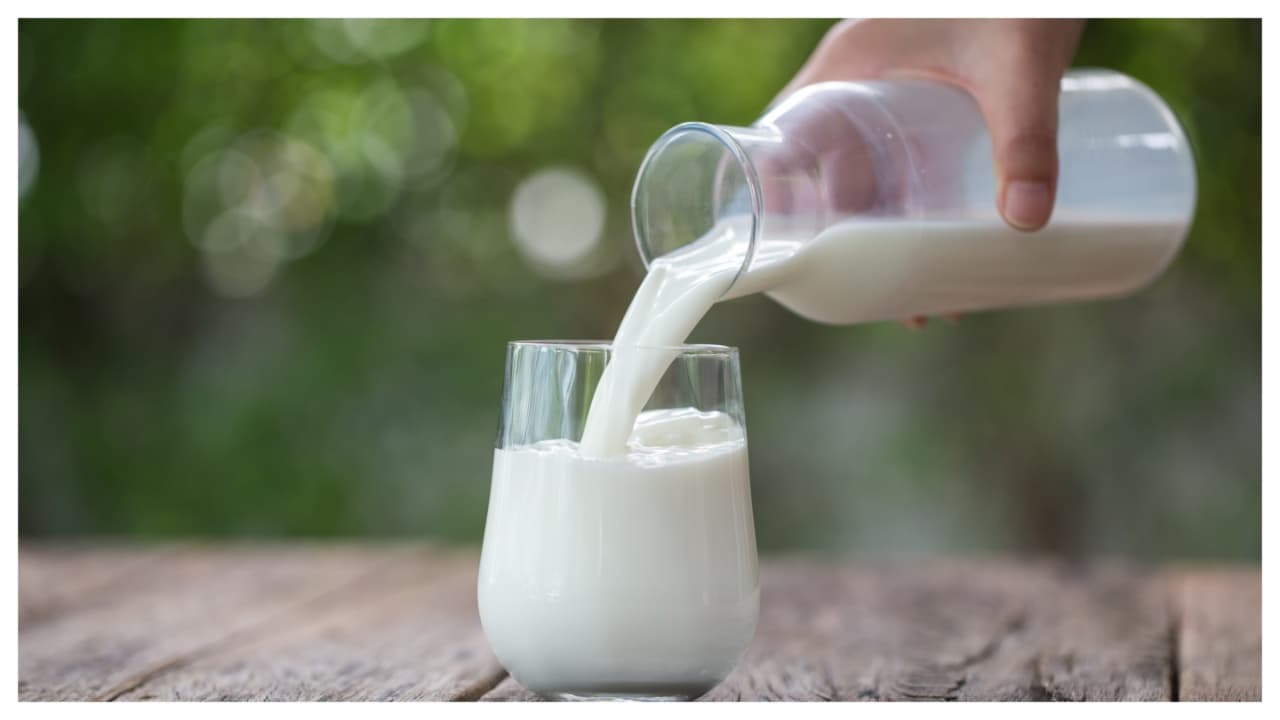 Why Milk Prices Remain Steady In India Despite West Asia Tensions?