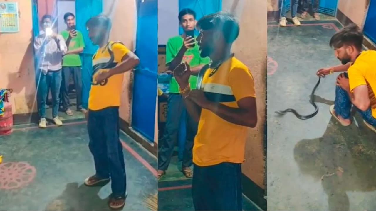 Reels Gone Wrong Young: ಹಾವನ್ನು ಕೊರಳಿಗೆ ಸುತ್ತಿಕೊಂಡು ಸ್ಟಂಟ್ ಮಾಡಲು ಹೋಗಿ ಜೀವ ಬಿಟ್ಟ ಯುವಕ | Snake Bite Claims Life Of Young Man Trying To Take Reels In Muzaffarnagar Reels Gone Wrong Young: ಹಾವನ್ನು ಕೊರಳಿಗೆ ಸುತ್ತಿಕೊಂಡು ಸ್ಟಂಟ್ ಮಾಡಲು ಹೋಗಿ ಜೀವ ಬಿಟ್ಟ ಯುವಕ | Snake Bite Claims Life Of Young Man Trying To Take Reels In Muzaffarnagar