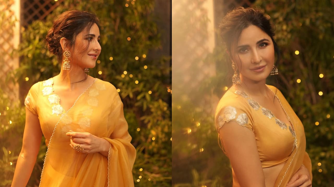 Top 5 Katrina Kaif Movies You Must Watch As An Actress: Namastey London To Merry Christmas