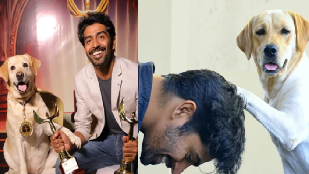 777 Charlie Director ಕಿರಣ್ ರಾಜ್ ಹೊಸ ಸಿನಿಮಾ ಸ್ಕ್ರಿಪ್ಟ್ ರೆಡಿ: ನಾಯಿಗೆ ಮತ್ತೆ ಪ್ರಮುಖ ಪಾತ್ರ | 777 Charlie Director Kiran Rajs New Movie Script Is Ready Gvd 777 Charlie Director ಕಿರಣ್ ರಾಜ್ ಹೊಸ ಸಿನಿಮಾ ಸ್ಕ್ರಿಪ್ಟ್ ರೆಡಿ: ನಾಯಿಗೆ ಮತ್ತೆ ಪ್ರಮುಖ ಪಾತ್ರ | 777 Charlie Director Kiran Rajs New Movie Script Is Ready Gvd