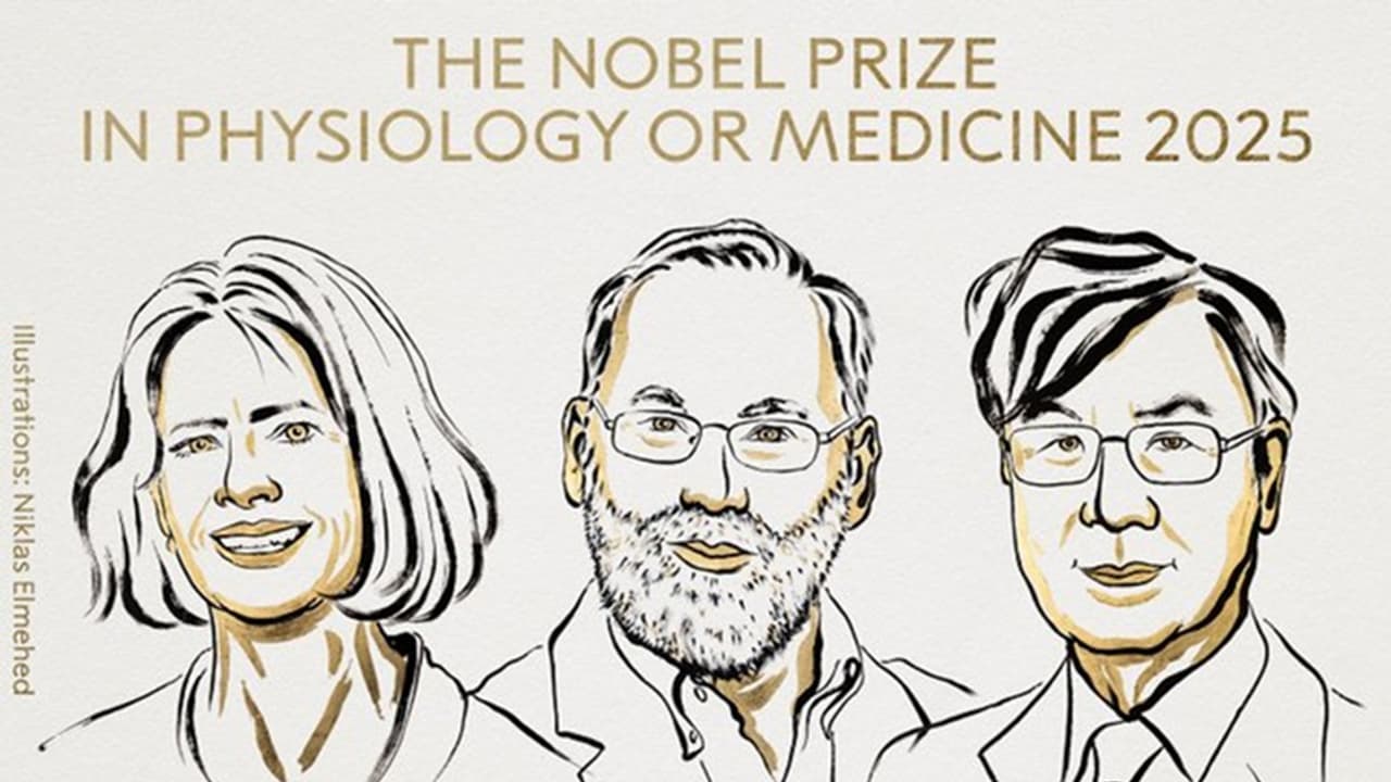 Mary E. Brunkow, Fred Ramsdell and Shimon Sakaguchi Win 2025 Nobel Prize in Medicine