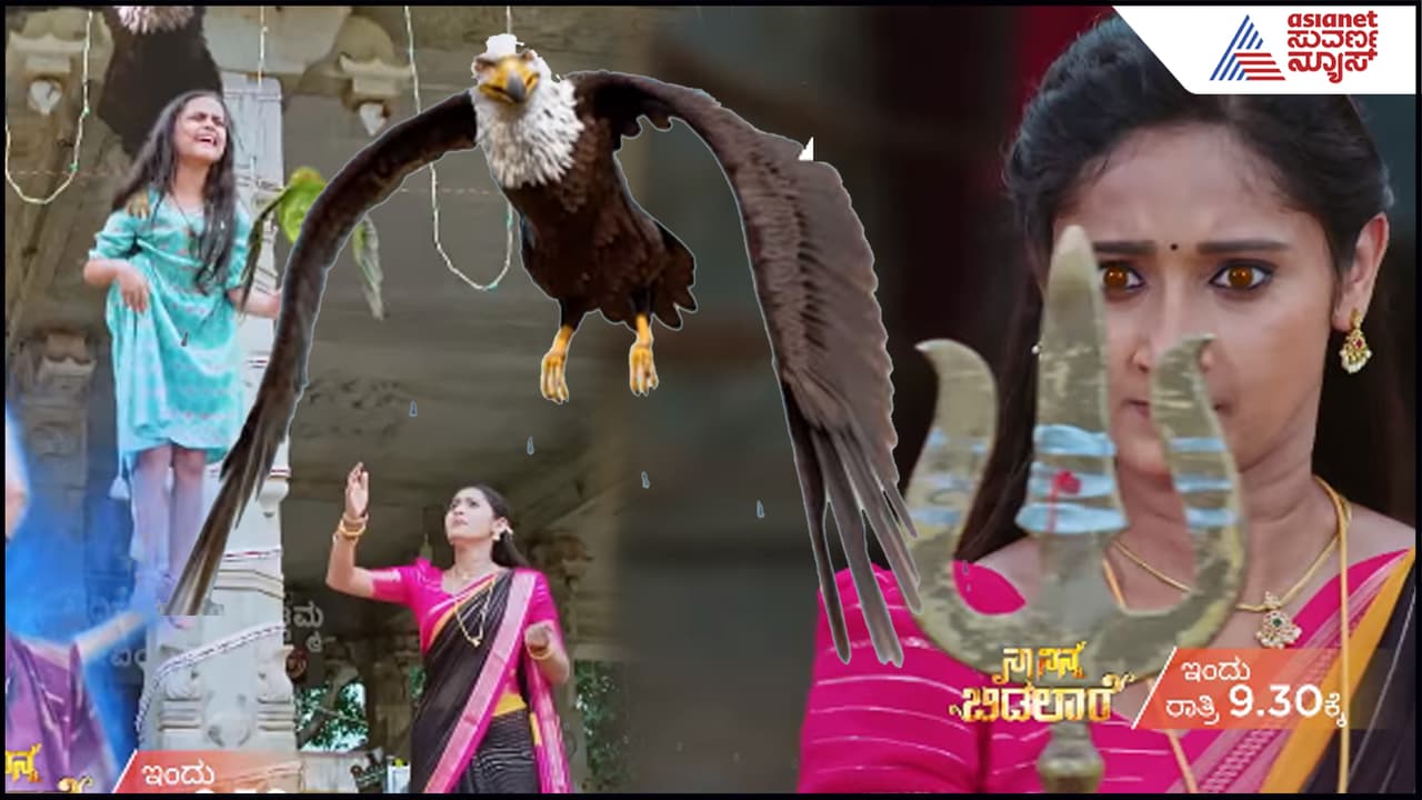 Naa Ninna Bidalaare: ಹಿತಾಳನ್ನು ಹಾರಿಸಿಕೊಂಡು ಹೋದ ರಕ್ಕಸ ಹದ್ದು- ಕಾಪಾಡ್ತಾಳಾ ದುರ್ಗಾ? Naa Ninna Bidalaare: ಹಿತಾಳನ್ನು ಹಾರಿಸಿಕೊಂಡು ಹೋದ ರಕ್ಕಸ ಹದ್ದು- ಕಾಪಾಡ್ತಾಳಾ ದುರ್ಗಾ?