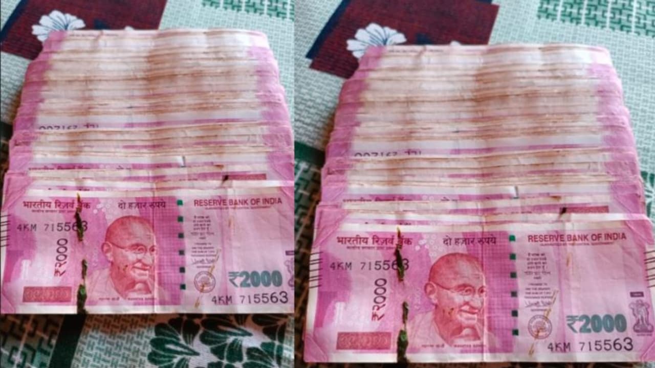 ದೀಪಾವಳಿಗೆ ಮನೆ ಕ್ಲೀನ್ ಮಾಡ್ತಿದ್ದ ಅಮ್ಮನಿಗೆ ಸಿಕ್ತು ಬಂಡಲ್ಗಟ್ಟಲೇ 2 ಸಾವಿರ ರೂ. ನೋಟು: ಮುಂದೇನು? | Family Stunned As Mother Finds Rs 2 Lakh In Old Currency Notes During Cleaning ದೀಪಾವಳಿಗೆ ಮನೆ ಕ್ಲೀನ್ ಮಾಡ್ತಿದ್ದ ಅಮ್ಮನಿಗೆ ಸಿಕ್ತು ಬಂಡಲ್ಗಟ್ಟಲೇ 2 ಸಾವಿರ ರೂ. ನೋಟು: ಮುಂದೇನು? | Family Stunned As Mother Finds Rs 2 Lakh In Old Currency Notes During Cleaning