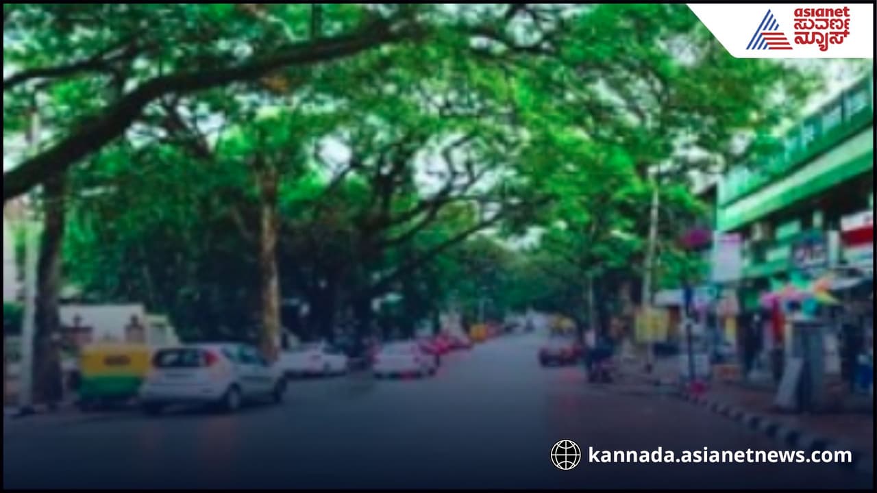 Bengaluru AQI: ಬೆಂಗಳೂರಲ್ಲಿ ದೀಪಾವಳಿಗೆ ವಾಯುಮಾಲಿನ್ಯ ಹೆಚ್ಚುವ ಬದಲು ಭಾರೀ ಇಳಿಕೆ! ಕಾರಣವೇನು ಗೊತ್ತಾ? | Bangalore Air Quality Index During Diwali Celebration Bengaluru AQI: ಬೆಂಗಳೂರಲ್ಲಿ ದೀಪಾವಳಿಗೆ ವಾಯುಮಾಲಿನ್ಯ ಹೆಚ್ಚುವ ಬದಲು ಭಾರೀ ಇಳಿಕೆ! ಕಾರಣವೇನು ಗೊತ್ತಾ? | Bangalore Air Quality Index During Diwali Celebration