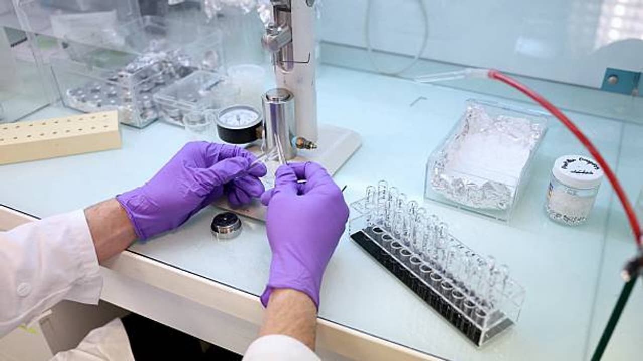 Scientists Use AI To Build Brand-New Virus In Lab - Faster Than Nature ...