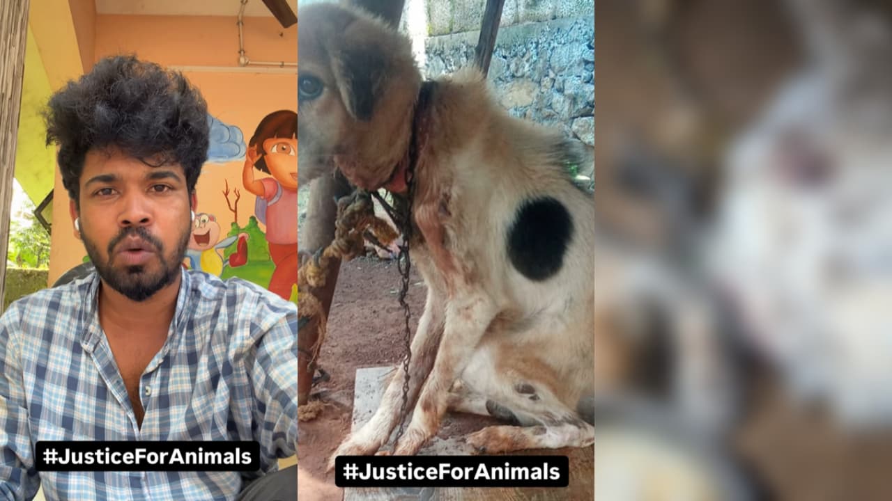 Pet Dog Tied and Left to Die in Ernakulam, Police Accused of Ignoring ...