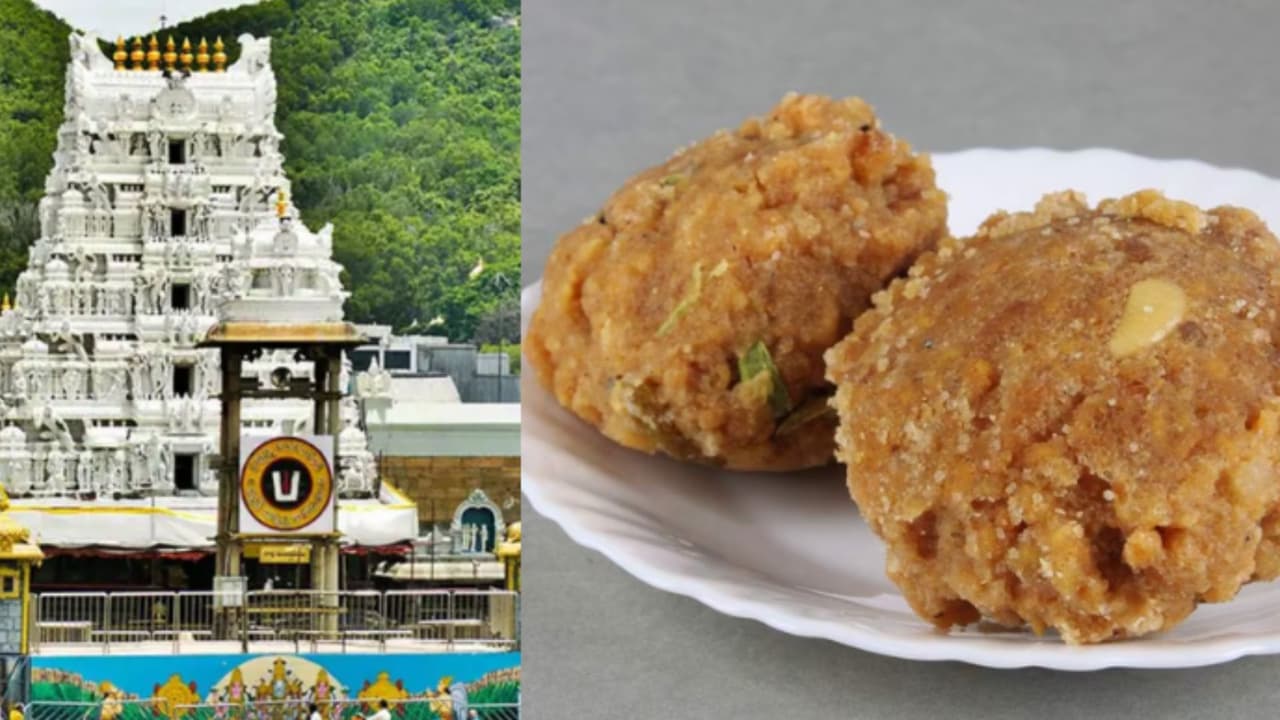 ತಿರುಪತಿ: 2025ರಲ್ಲಿ 13.52 ಕೋಟಿ ಲಡ್ಡು ಸೇಲ್ – ಕಳೆದ ವರ್ಷಕ್ಕಿಂತ 1.37 ಕೋಟಿ ಹೆಚ್ಚು ಲಡ್ಡು ಮಾರಾಟ | Tirupati 135 Million Laddus Sold In 2025 ತಿರುಪತಿ: 2025ರಲ್ಲಿ 13.52 ಕೋಟಿ ಲಡ್ಡು ಸೇಲ್ – ಕಳೆದ ವರ್ಷಕ್ಕಿಂತ 1.37 ಕೋಟಿ ಹೆಚ್ಚು ಲಡ್ಡು ಮಾರಾಟ | Tirupati 135 Million Laddus Sold In 2025