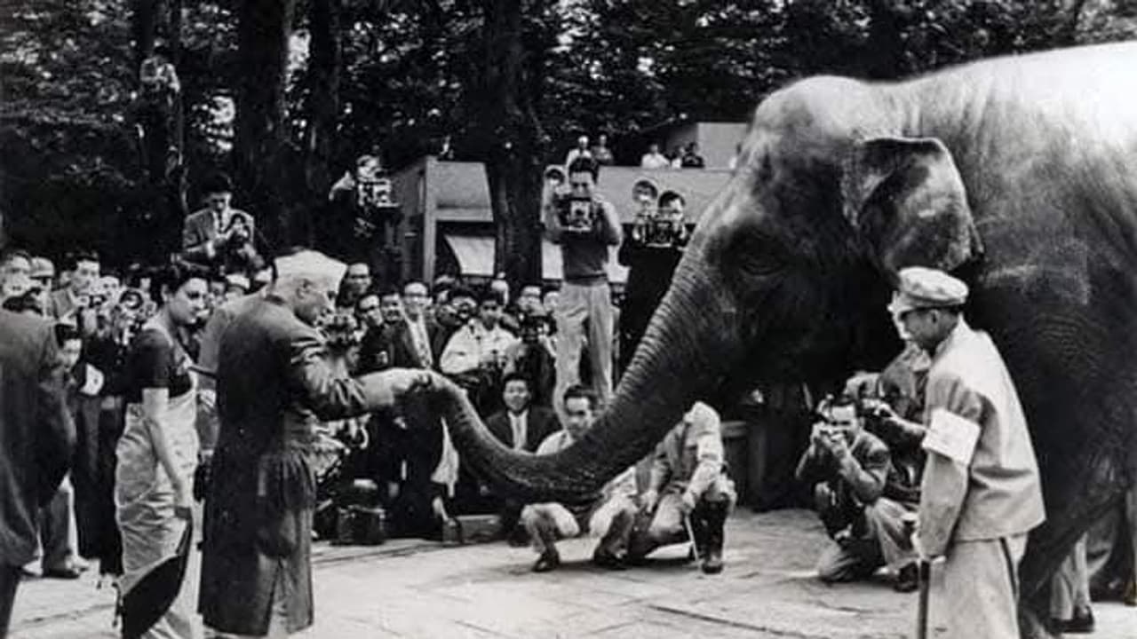 India Untold: When Children From Japan To Germany Once Wrote to Nehru Asking for Elephants