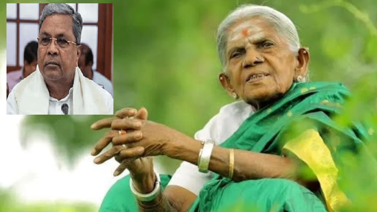 Thimmakka Funeral Honors: ಸರ್ಕಾರಿ ಗೌರವದೊಂದಿಗೆ ಸಾಲುಮರದ ತಿಮ್ಮಕ್ಕ ಅಂತ್ಯಕ್ರಿಯೆ: ಸಿಎಂ ಸಿದ್ದರಾಮಯ್ಯ | Saalumarada Thimmakka Demise Government Honours Cm Siddaramaiah Gvd Thimmakka Funeral Honors: ಸರ್ಕಾರಿ ಗೌರವದೊಂದಿಗೆ ಸಾಲುಮರದ ತಿಮ್ಮಕ್ಕ ಅಂತ್ಯಕ್ರಿಯೆ: ಸಿಎಂ ಸಿದ್ದರಾಮಯ್ಯ | Saalumarada Thimmakka Demise Government Honours Cm Siddaramaiah Gvd