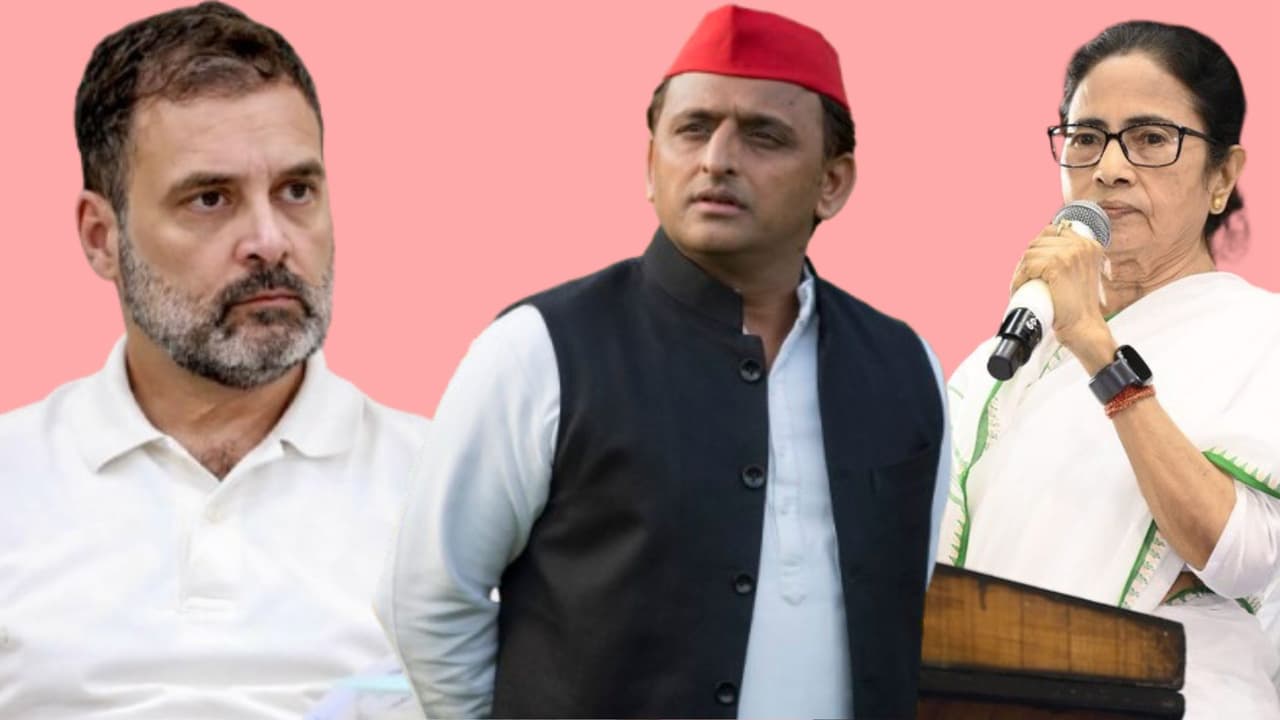 ಬಿಹಾರ ಚುನಾವಣೆ ಸೋಲಿನ ಬೆನ್ನಲ್ಲಿಯೇ ಮಹಾಗಠಬಂಧನಲ್ಲಿ ಭಾರೀ ಬಿರುಕು, ರಾಹುಲ್ ಗಾಂಧಿ ನಾಯಕತ್ವಕ್ಕೆ ಅಪಸ್ವರ | India Bloc Leadership Rift Rahul Gandhi Tmc Sp Bihar Loss San ಬಿಹಾರ ಚುನಾವಣೆ ಸೋಲಿನ ಬೆನ್ನಲ್ಲಿಯೇ ಮಹಾಗಠಬಂಧನಲ್ಲಿ ಭಾರೀ ಬಿರುಕು, ರಾಹುಲ್ ಗಾಂಧಿ ನಾಯಕತ್ವಕ್ಕೆ ಅಪಸ್ವರ | India Bloc Leadership Rift Rahul Gandhi Tmc Sp Bihar Loss San