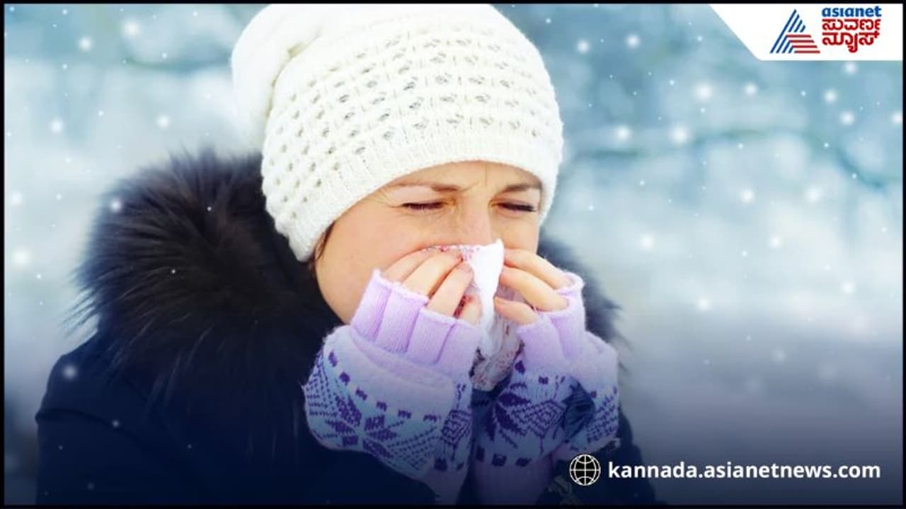 ಚಳಿಗಾಲದಲ್ಲಿ ಮಿಸ್ ಮಾಡ್ದೆ ಇದನ್ನು ತಿನ್ನಿ, ರೋಗಕ್ಕೆ ಹೇಳಿ ಬೈ, ತೆಳ್ಳಗೂ ಆಗ್ತೀರಿ | Amla Benefits Winter Strong Immunity Booster ಚಳಿಗಾಲದಲ್ಲಿ ಮಿಸ್ ಮಾಡ್ದೆ ಇದನ್ನು ತಿನ್ನಿ, ರೋಗಕ್ಕೆ ಹೇಳಿ ಬೈ, ತೆಳ್ಳಗೂ ಆಗ್ತೀರಿ | Amla Benefits Winter Strong Immunity Booster