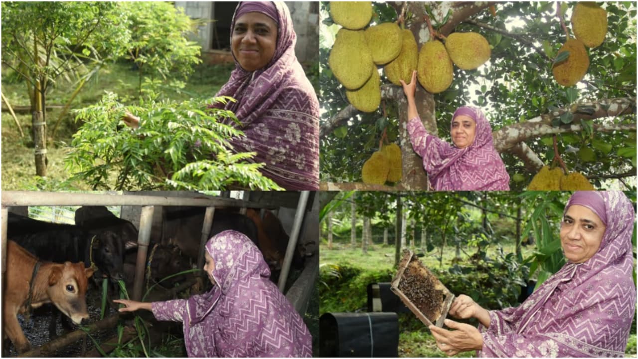 Bright Side Stories: How Malappuram Homemaker Khadeeja Turned Farming Into Thriving Business