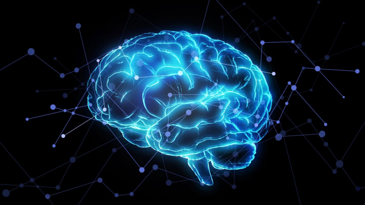 Cambridge Scientists Reveal Five Major Turning Points When Your Brain Rewires Itself