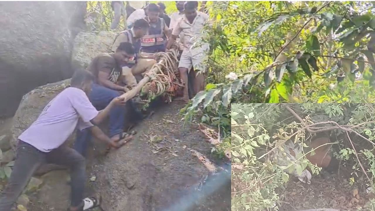 ರಾಮನಗರದ ರೇವಣಸಿದ್ದೇಶ್ವರ ಬೆಟ್ಟದಲ್ಲಿ ದುರಂತ: ದೇವರ ದರ್ಶನಕ್ಕೂ ಮುನ್ನವೇ ಕಂದಕ ಸೇರಿದ ಭಕ್ತ! | Revannasiddeshwara Hill Elderly Man Dies Ramanagara Sat ರಾಮನಗರದ ರೇವಣಸಿದ್ದೇಶ್ವರ ಬೆಟ್ಟದಲ್ಲಿ ದುರಂತ: ದೇವರ ದರ್ಶನಕ್ಕೂ ಮುನ್ನವೇ ಕಂದಕ ಸೇರಿದ ಭಕ್ತ! | Revannasiddeshwara Hill Elderly Man Dies Ramanagara Sat