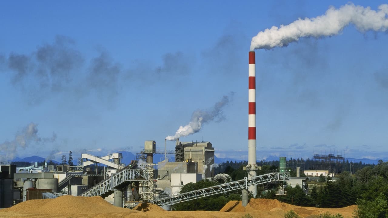 Scientists Create Potent Hydrogen Catalyst Using Paper Mill Waste