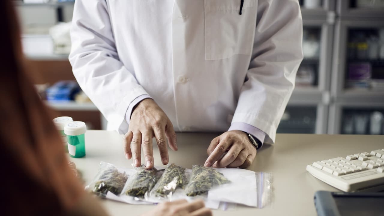 Study Reveals Medical Cannabis Has Limited Benefits and Notable Safety Concerns