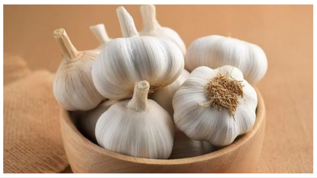 Garlic City: ಕರ್ನಾಟಕವಲ್ಲ, ತಮಿಳುನಾಡೂ ಅಲ್ಲ… ಭಾರತದ ‘ಬೆಳ್ಳುಳ್ಳಿ ನಗರ’ ಇರೋದು ಇಲ್ಲೇ!