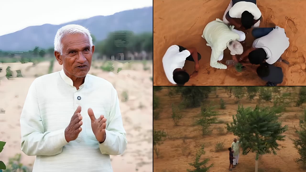 India Untold: How Padma Shri Farmer's One-Litre Water Method Helps 60,000 Trees Survive Rajasthan's Drought