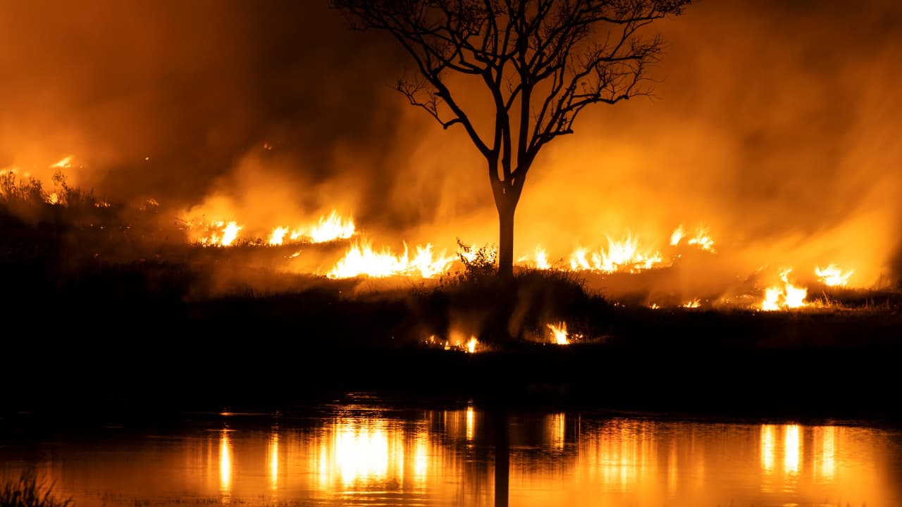 Amazon Rainforest Is Undergoing Major Climate Shift Not Seen in Millions of Years