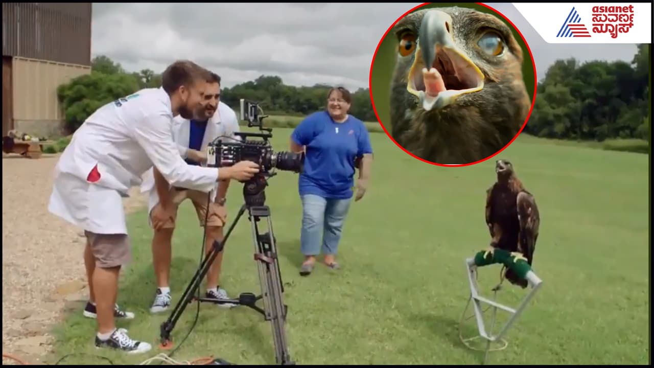 ವಿಜ್ಞಾನಕ್ಕೇ ಸವಾಲು ಗರುಡ ಪಕ್ಷಿಯ ಕಣ್ಣುಗಳು: ವಿಡಿಯೋ ಮೂಲಕ ನಂಬಲಸಾಧ್ಯ ನಿಗೂಢ ಸತ್ಯ ತೆರೆದಿಟ್ಟ ವಿದೇಶಿಗರು! | Eyes Of Eagle An Incredible And Mysterious Truth Was Discovered In The Video Suc ವಿಜ್ಞಾನಕ್ಕೇ ಸವಾಲು ಗರುಡ ಪಕ್ಷಿಯ ಕಣ್ಣುಗಳು: ವಿಡಿಯೋ ಮೂಲಕ ನಂಬಲಸಾಧ್ಯ ನಿಗೂಢ ಸತ್ಯ ತೆರೆದಿಟ್ಟ ವಿದೇಶಿಗರು! | Eyes Of Eagle An Incredible And Mysterious Truth Was Discovered In The Video Suc