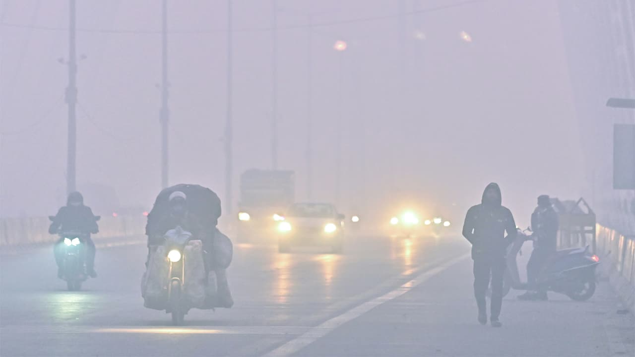 Delhi Weather LATEST Update: Mild Warmth, Cold Mornings, Evenings; Check Forecast